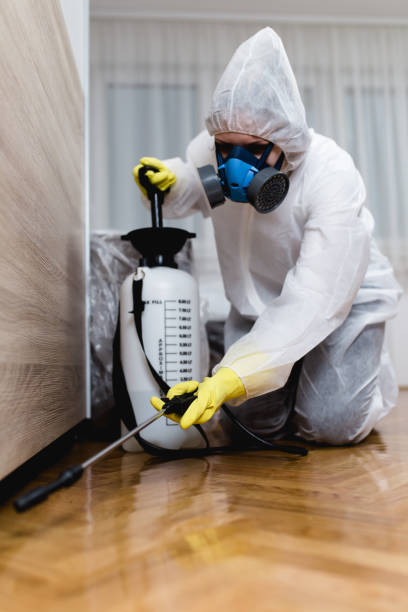 Reliable Woodhaven, MI Pest control Solutions